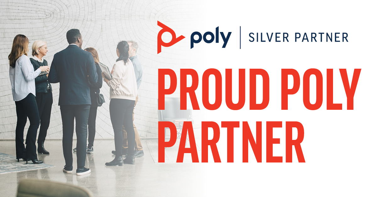 Poly Silver Partner